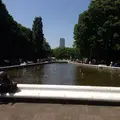 代々木公園の写真_80787