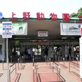 上野動物園の写真_81058