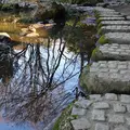 有栖川宮記念公園の写真_81510