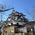彦根城の写真_81890