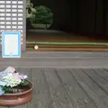 明月院（あじさい寺）の写真_82670
