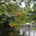 松風閣庭園の写真_839705