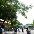 上野恩賜公園（上野公園）の写真_84256