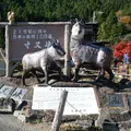 寸又峡の写真_851037