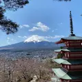 新倉山浅間公園の写真_867963