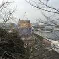 福岡藩波奈台場跡の写真_869157