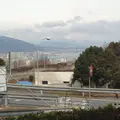 大津ＳＡの写真_878014