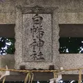 白幡神社の写真_879913