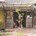 陶房CONELの写真_929060