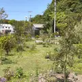 犬島くらしの植物園の写真_931352