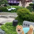 加賀　山中温泉　菊の湯の写真_945294