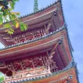向上寺の写真_977463