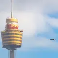 Sydney Tower Eye（シドニータワー・アイ）の写真_978649