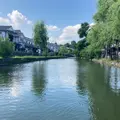 倉敷美観地区の写真_998168