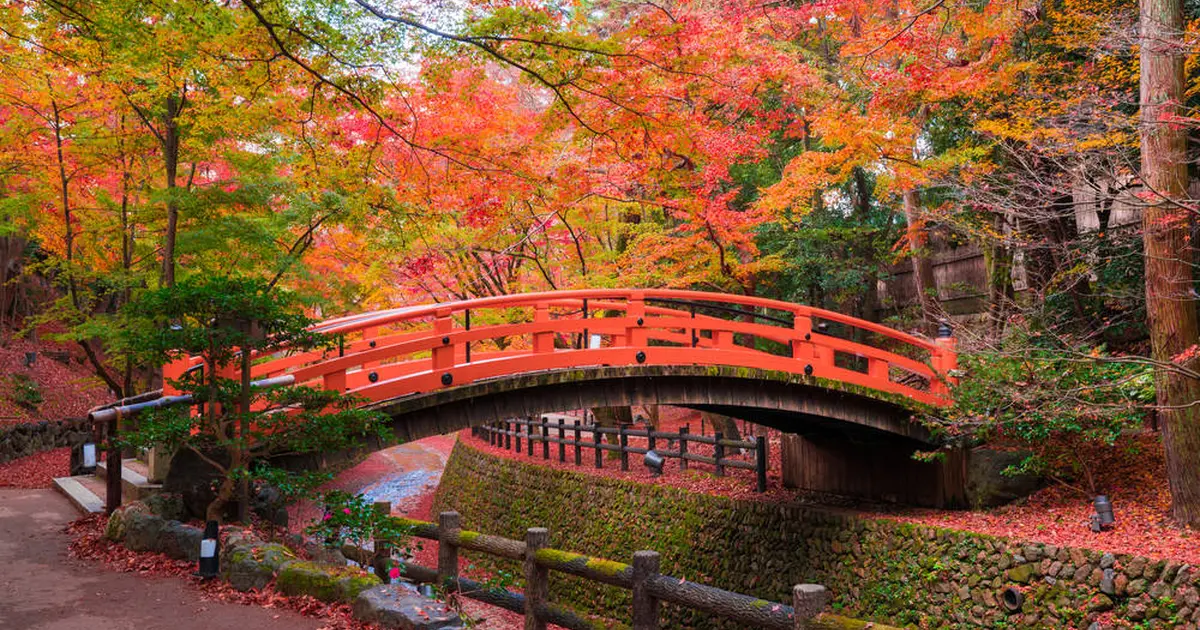 秋の京都 紅葉巡り 金閣寺 上賀茂神社 龍安寺のおすすめスポットをご紹介 Holiday ホリデー