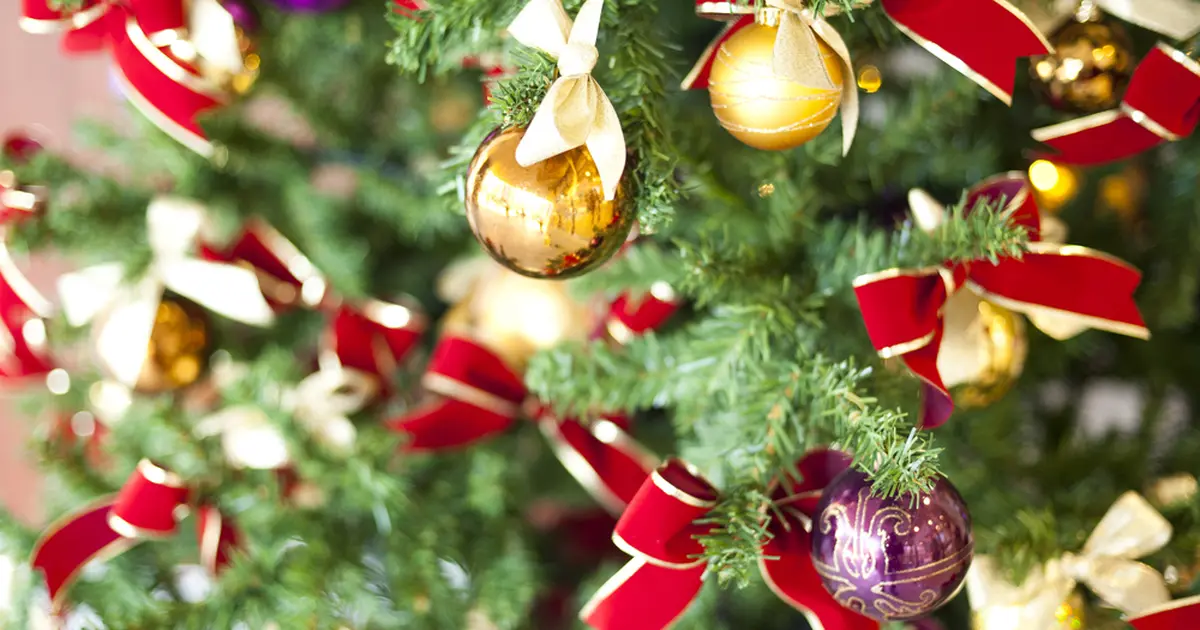 恵比寿 代官山のクリスマスに関するおでかけプランが10件 Holiday ホリデー
