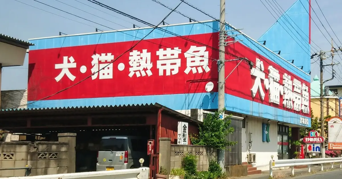 アクア & ペット かねだい 桶川 店 埼玉 県 販売 桶川 市