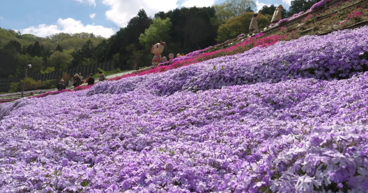 春の芝桜と姫路夢前地区オススメスポット巡る旅 Holiday ホリデー