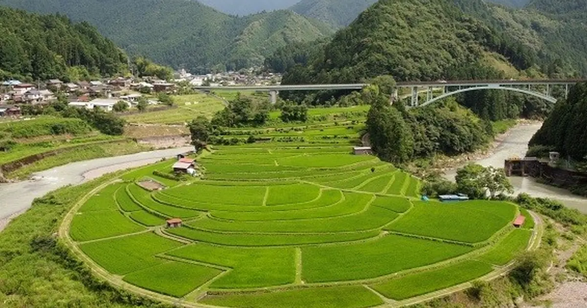 ナイナイお見合い大作戦 次回開催予定地 和歌山県有田川町の魅力 有田川町の花嫁募集 Holiday ホリデー