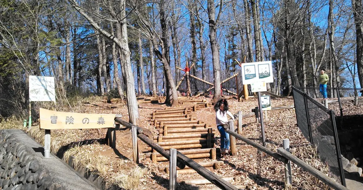 野山北公園 あそびの森 冒険の森へ行くなら おすすめの過ごし方や周辺情報をチェック Holiday ホリデー