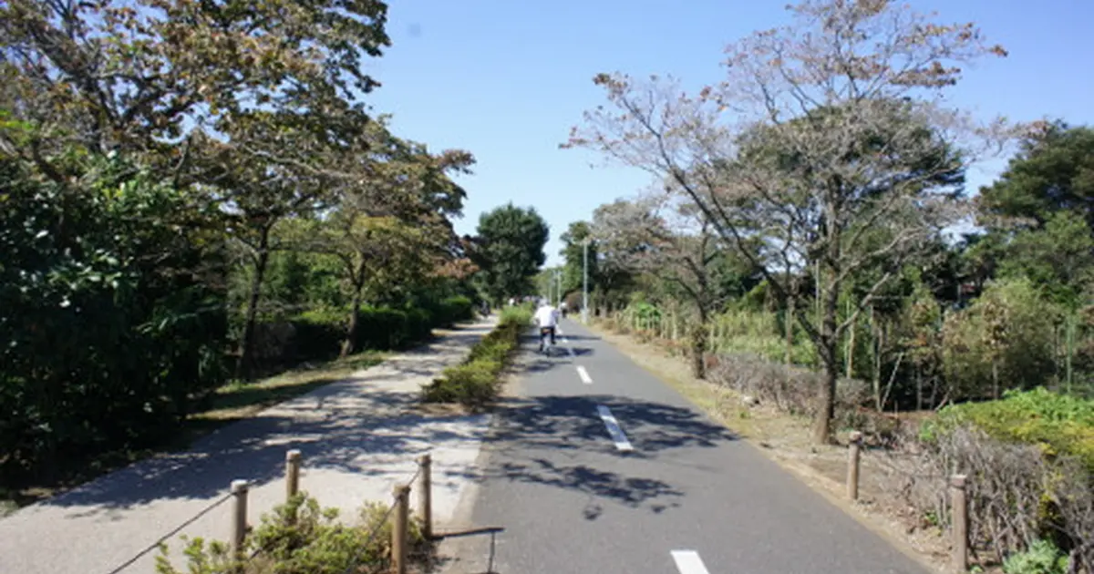 初心者にお勧め 多摩湖サイクリングロードとカフェめぐり Holiday ホリデー