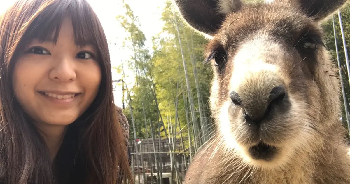 カンガルーと自撮りできる 東京から1時間半の動物スポット Holiday ホリデー