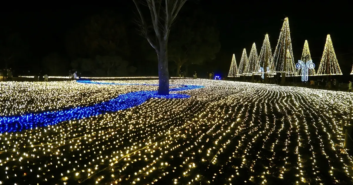 国営木曽三川公園 木曽三川公園センターへ行くなら おすすめの過ごし方や周辺情報をチェック Holiday ホリデー