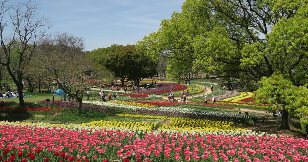 春の人気観光スポット選 春の大阪を楽しむ花見 グルメ 絶景スポットランキングを大公開 Holiday ホリデー