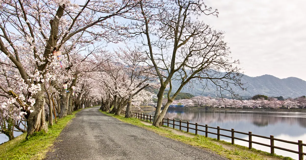 立岡自然公園へ行くなら おすすめの過ごし方や周辺情報をチェック Holiday ホリデー