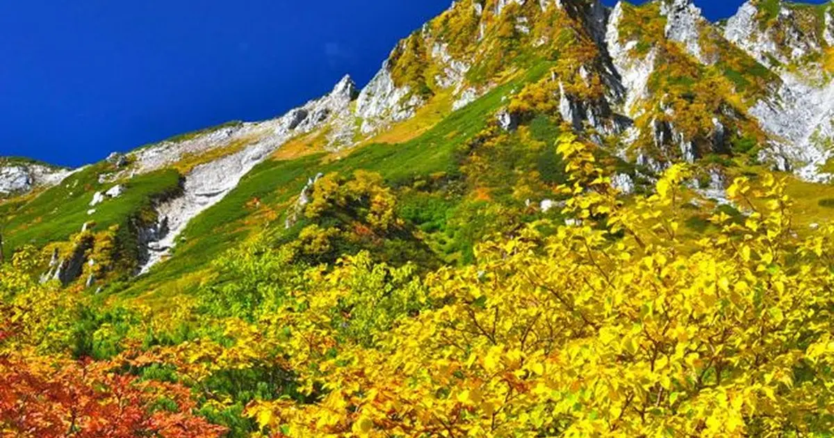 ９月下旬 10月上旬 中央アルプス千畳敷カールの紅葉 標高2 612ｍロープウェイで行ける絶景 Holiday ホリデー