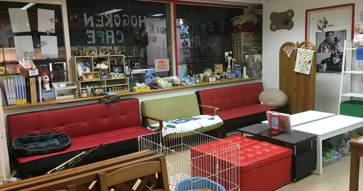 Hogoken Cafe Salon 保護犬 保護猫カフェ 天神橋店へ行くなら おすすめの過ごし方や周辺情報をチェック Holiday ホリデー