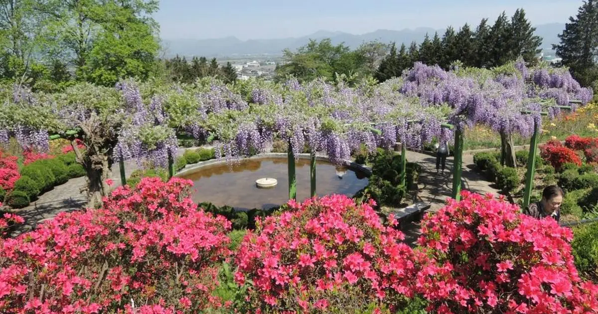 寒河江公園つつじ園へ行くなら おすすめの過ごし方や周辺情報をチェック Holiday ホリデー