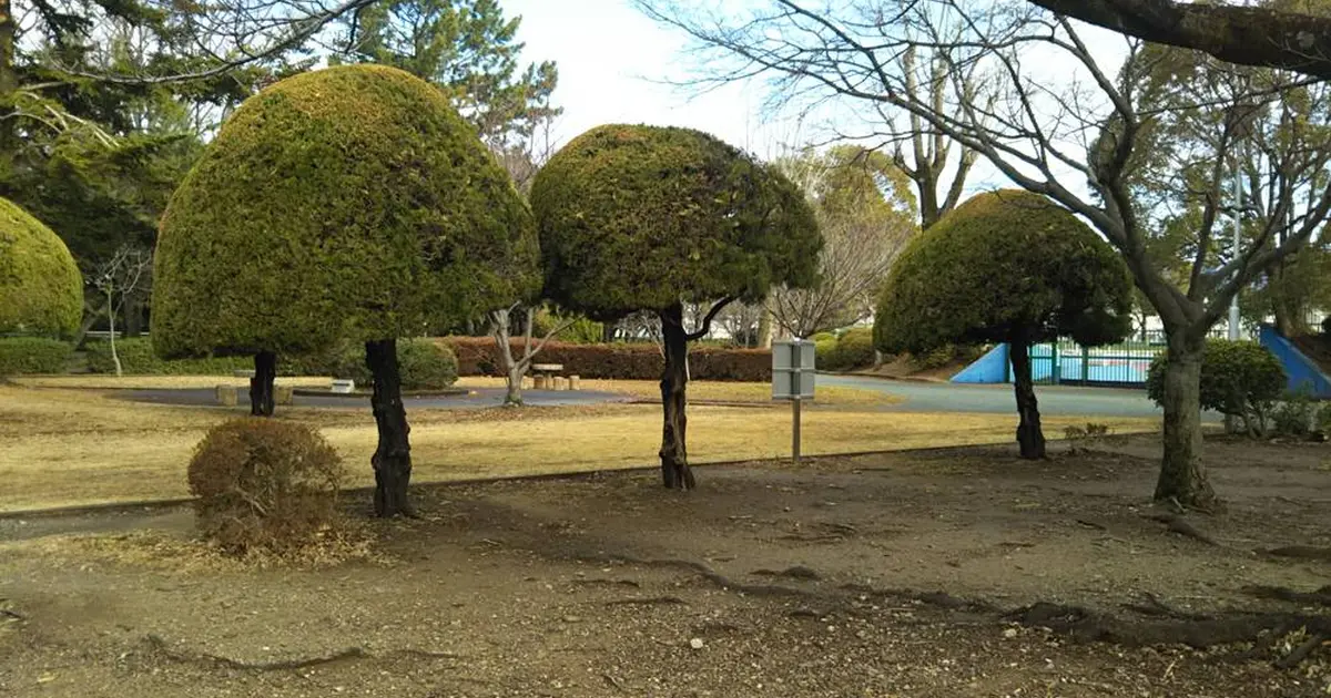 豊川公園へ行くなら おすすめの過ごし方や周辺情報をチェック Holiday ホリデー