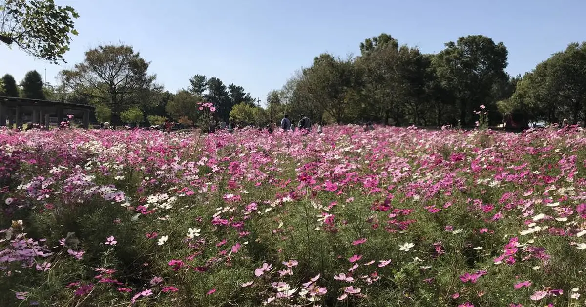 木曽三川公園へ行くなら おすすめの過ごし方や周辺情報をチェック Holiday ホリデー