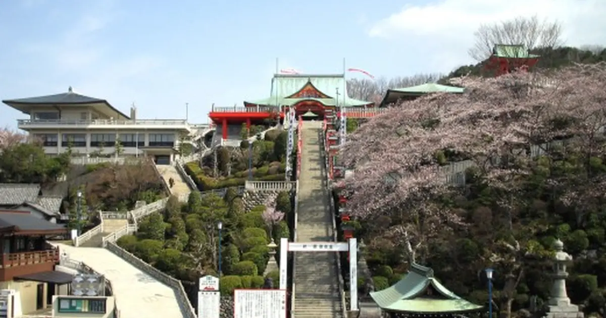 桜 の 成田山 と 成田参道食べ歩き Holiday ホリデー