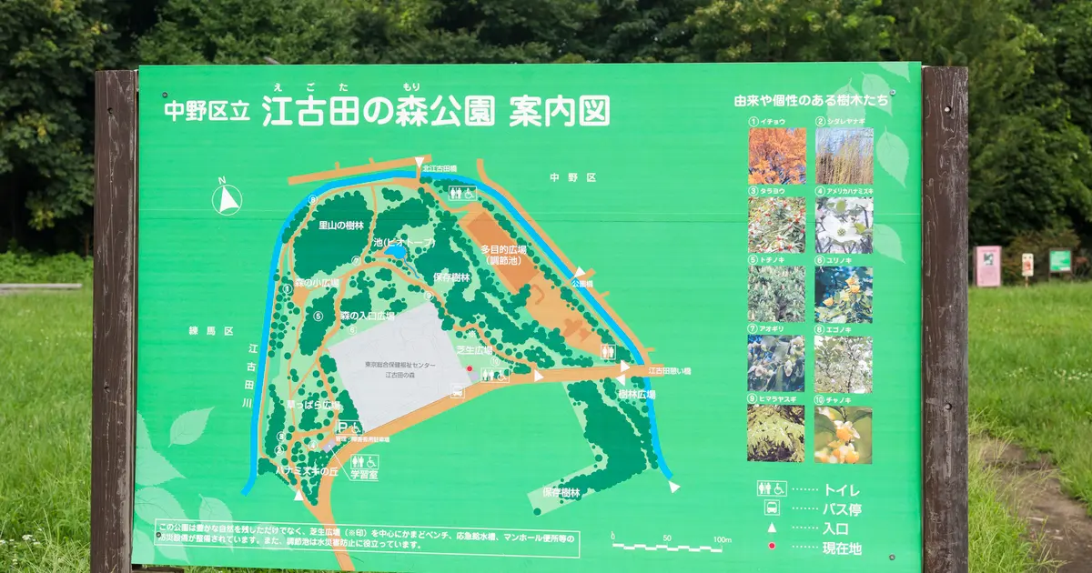 江古田の森公園へ行くなら おすすめの過ごし方や周辺情報をチェック Holiday ホリデー