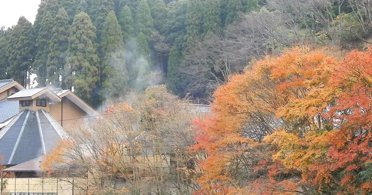 せせらぎの湯 花水木へ行くなら おすすめの過ごし方や周辺情報をチェック Holiday ホリデー