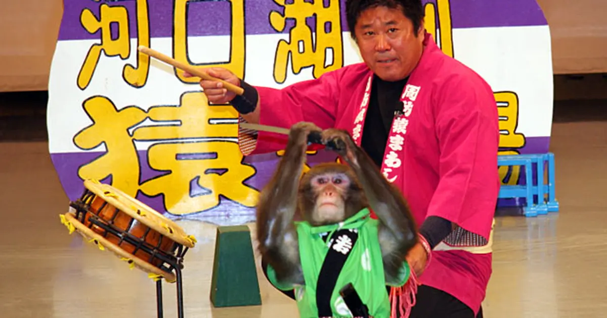 富士お猿の里 河口湖猿まわし劇場へ行くなら おすすめの過ごし方や周辺情報をチェック Holiday ホリデー