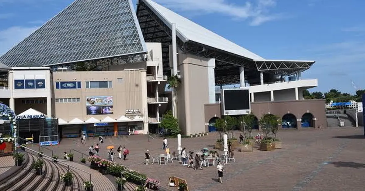 横浜 八景島シーパラダイスへ行くなら おすすめの過ごし方や周辺情報をチェック Holiday ホリデー