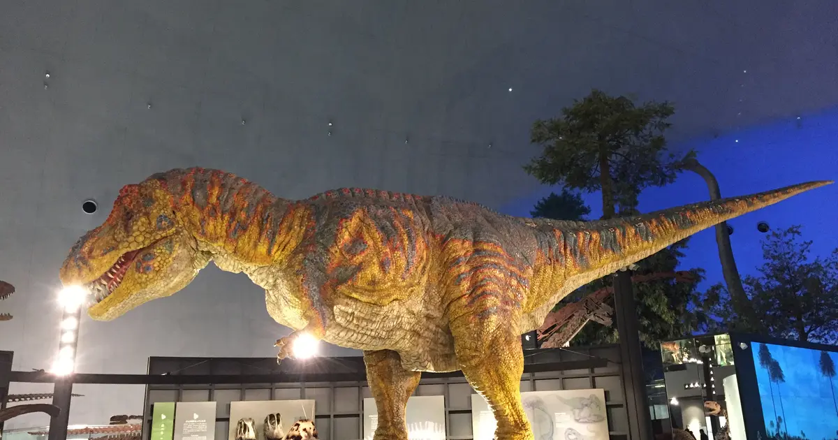 福井県立恐竜博物館へ行くなら おすすめの過ごし方や周辺情報をチェック Holiday ホリデー