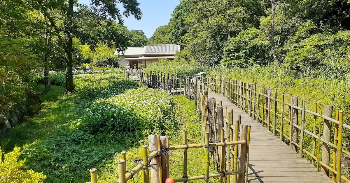 鎌倉中央公園 湿性花園へ行くなら おすすめの過ごし方や周辺情報をチェック Holiday ホリデー