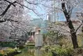 六本木ヒルズの写真_26426
