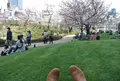 六本木ヒルズの写真_131895