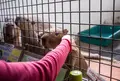 草津熱帯圏の写真_26603