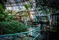 草津熱帯圏の写真_26604