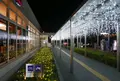 セントラルガーデンの写真_53522