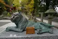 金剛證寺の写真_77244