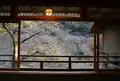 星のや 京都の写真_125474