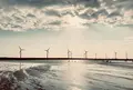 高美湿地の写真_1378374
