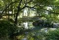 ひょうたん池の写真_155620